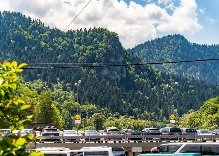 U Polowacy Appartamento *